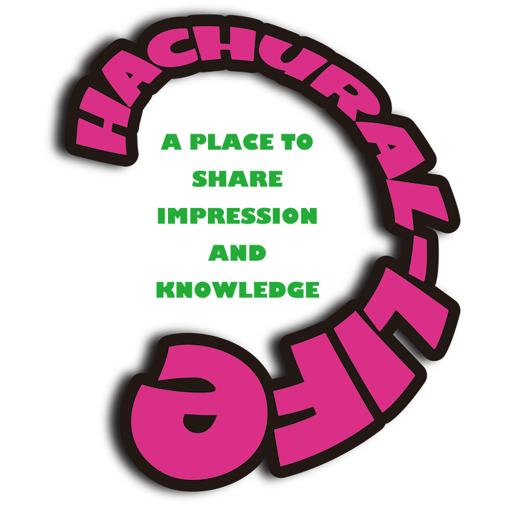 初心者歓迎】神戸市灘区の爬虫類専門店 | 生体販売＆生体機材買取引取