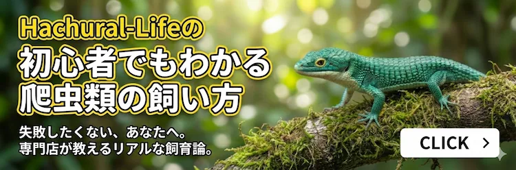 初心者歓迎】神戸市灘区の爬虫類専門店 | 生体販売＆生体機材買取引取