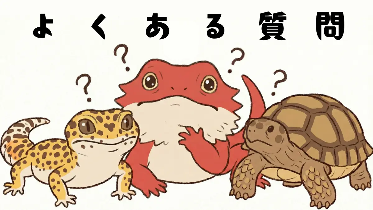 【FAQ】爬虫類のよくある質問｜ハチュラルライフ版